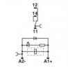 2900958-Phoenix-RIF-0-BPT/21 Zócalo de relé